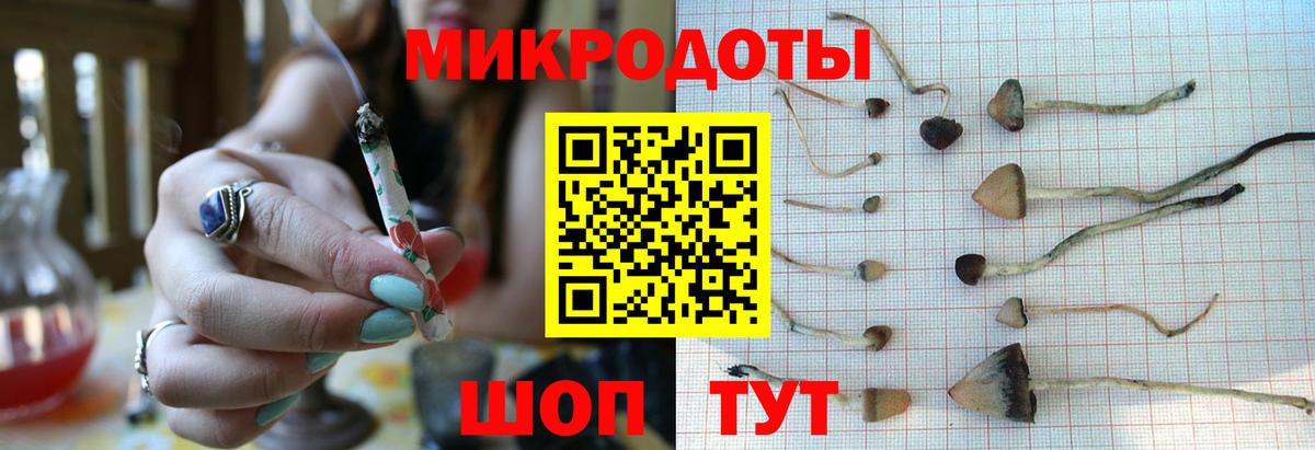 Галлюциногенные грибы Magic Shrooms Гусь-Хрустальный
